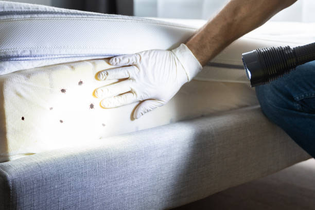 Best Pest Prevention Services  in Cleveland, NC