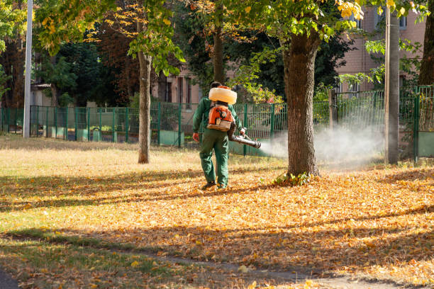 Best Residential Pest Control  in Cleveland, NC