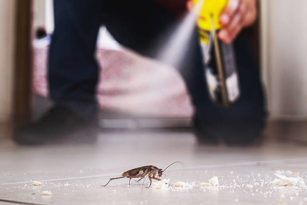 Best Bed Bug Extermination  in Cleveland, NC
