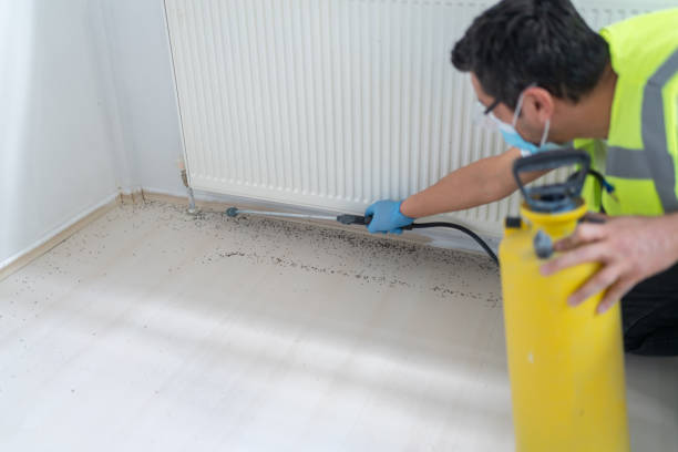 Pest Control for Restaurants in Cleveland, NC