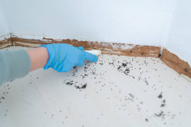 Best Residential Pest Control  in Cleveland, NC