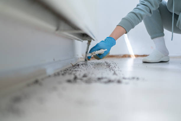 Best Wildlife Control Services  in Cleveland, NC