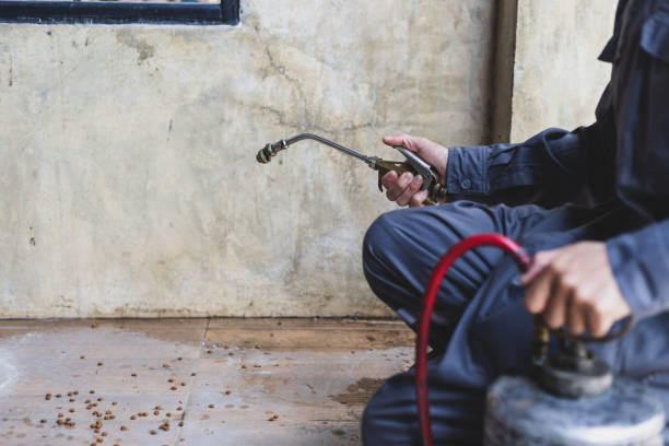 Best Pest Control Near Me  in Cleveland, NC
