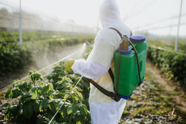 Trusted Cleveland, NC Pest Control Experts